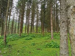 -硗碛藏寨·神木垒景区