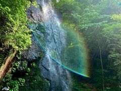 -本溪汤沟绿石谷森林公园