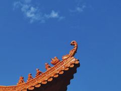 -深圳仙湖植物园