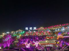 -枇杷园食为鲜火锅(南山店)