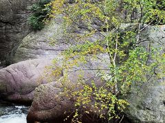 -小五台金河景区