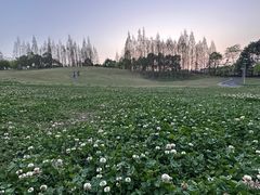 -成都保利公园皇冠假日酒店(熊猫基地店)