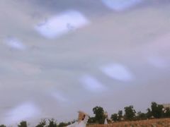 -荷兰花海
