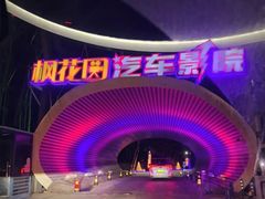 -枫花园汽车电影院(朝阳公园店)