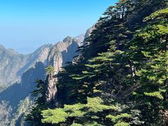 -黄山风景区