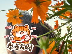 -洋湖国家湿地公园