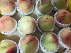 -老袁家蜜桃农场·阳山水蜜桃