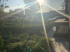 -悦宠凯宝动物医院·牙科·皮肤科(朝阳北路店)