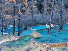 -黄龙山原始森林景区