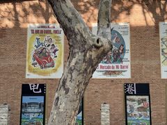 -西安电影制片厂