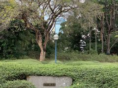 -九龙公园