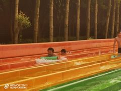 -重庆海昌加勒比海水世界