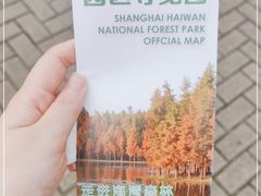 -上海海湾国家森林公园