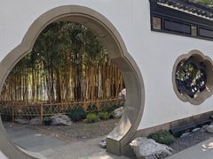 -西湖游船