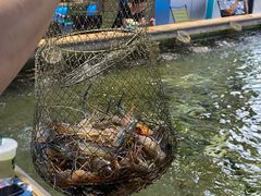 -桃源乐钓虾馆(松岗概念店)