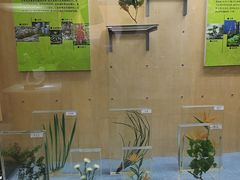 -陕西自然博物馆