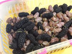 -米果果小镇