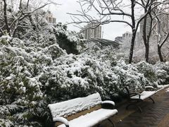 -苏州河梦清园环保主题公园