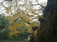-无锡惠山寺
