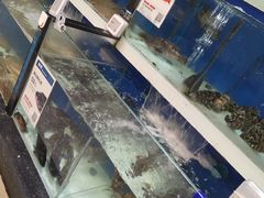 水产区-盒马鲜生(和谐广场店)