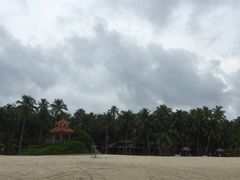 -东郊椰林