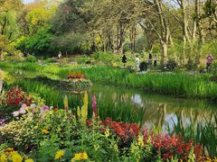 -上海共青森林公园