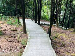 -火炉山森林公园