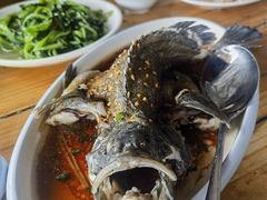 -蓝湾碧波·老字号·疍家非遗海上餐厅