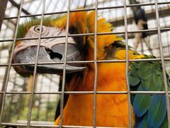 -南宫五洲植物乐园