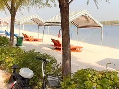 -呼兰河口湿地公园