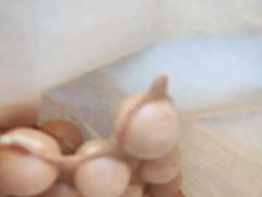 -香港鸳鸯王(西湖路店)