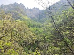 -北京上方山国家森林公园