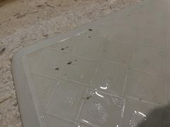 -杭州武林万怡酒店