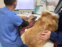 -佳雯宠物医院·皮肤科·内外科(春晓路分院)