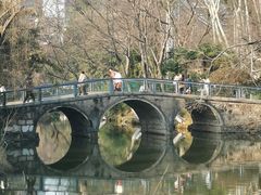 -红梅公园