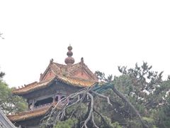-北陵公园
