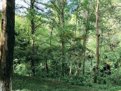 -敬亭山风景名胜区