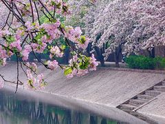 -海棠花溪(元大都城垣遗址公园)