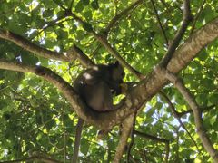 -塔曼阿扬寺/母神庙