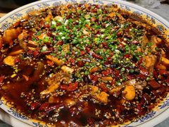 -新概念来凤鱼(璧山店)