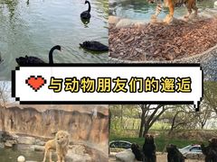 -北京野生动物园