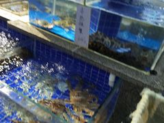 水产区-乔家小院•本地小海鲜•非遗驴肉(万年泉路店)