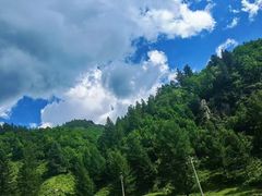 -芦芽山旅游度假区