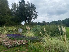 -阳光高尔夫俱乐部