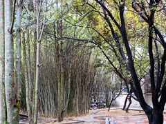 -秦始皇帝陵博物院(兵马俑)