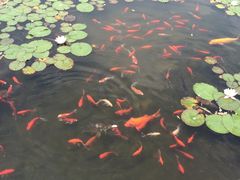 -白马涧龙池景区