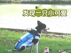 -阳澄湖半岛旅游度假区