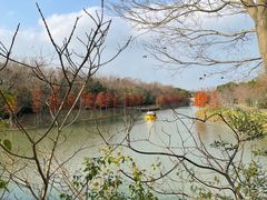 -上海海湾国家森林公园