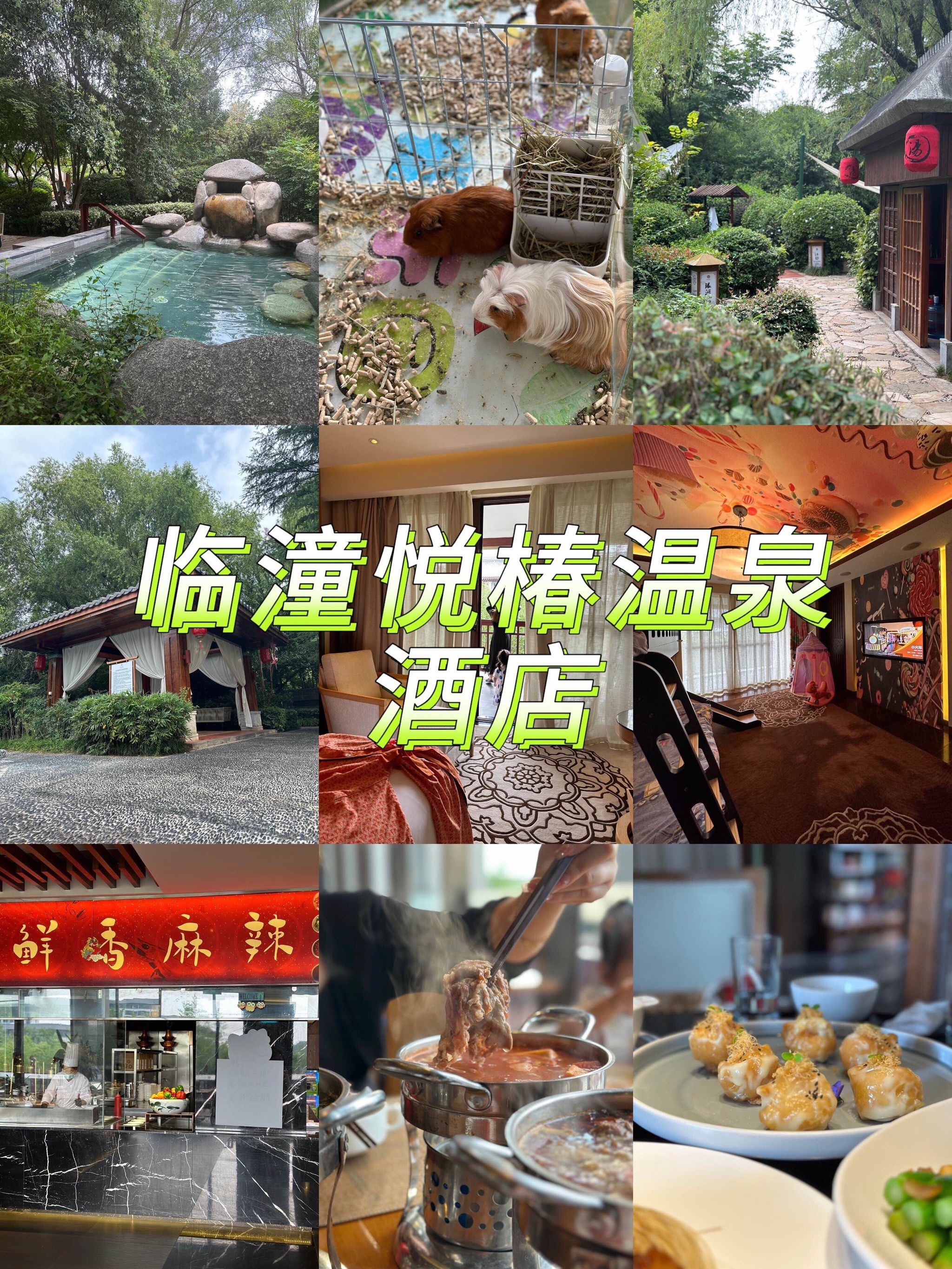 我推荐西安临潼悦椿温泉酒店,带给疲倦生活一场疗愈之旅.