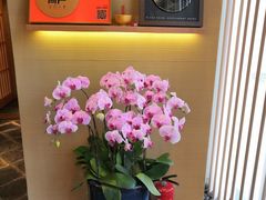 -鮨一日本料理(大中华店)